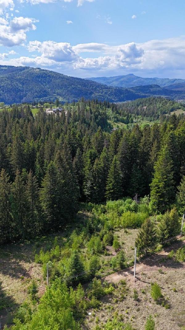 земля продам село Микуличин, фото 8 з 9